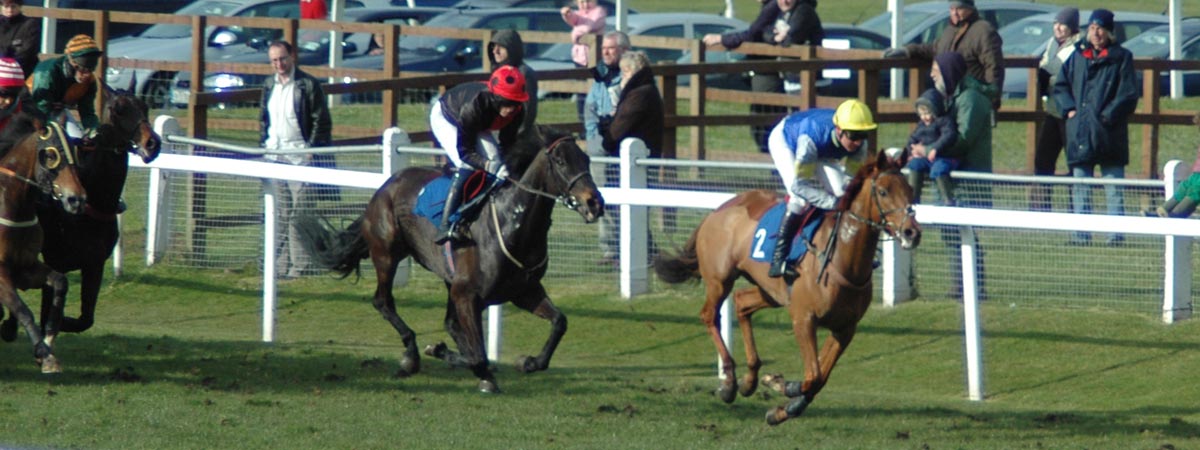 Cheltenham Races