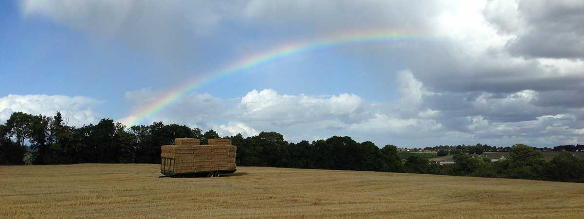 Large square bales on a trailor in a field with rainbow