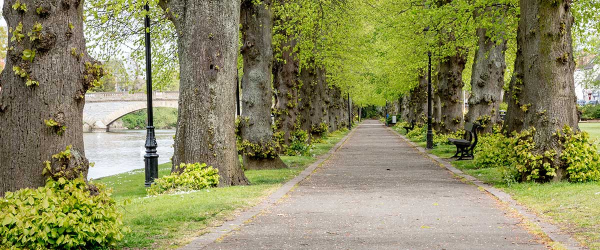 Tree lined footpath by the River Avon Evesham