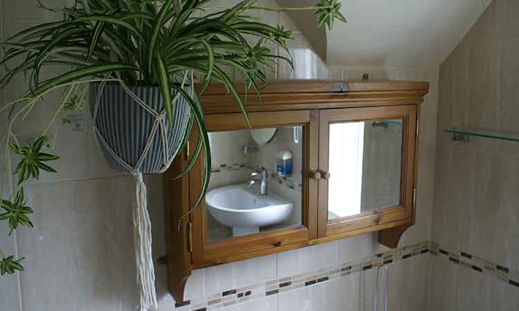 Haselor farm studio bathroom detail