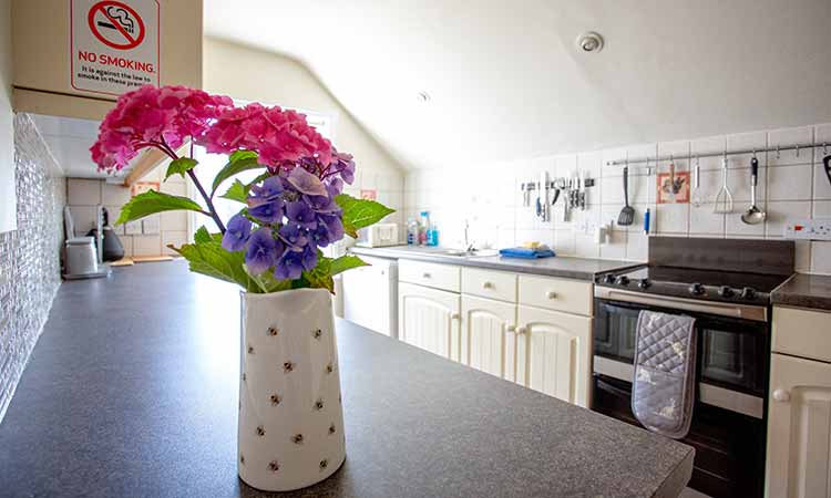 thaselor farm studio kitchen detail